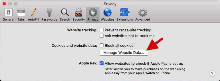 Safari Privacy